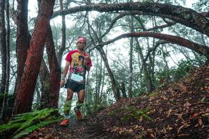 BIB: 
                            <button type="button" onclick="openModal(26343812)" class="btn btn-primary btn-sm float-right btn-popup" data-toggle="modal" data-target=".modal-high-quality">
                        <i class="fas fa-shopping-cart"></i> Add to Cart
                    </button>
                                            <button type="button" onclick="isThisMe(26343812, true)" class="btn btn-success btn-sm float-right btn-popup btn-isme hidden" data-toggle="tooltip" data-placement="bottom" title="นี่คือรูปของคุณใช่ไหม คลิกที่นี่เพื่อเอาเข้าอัลบั้ม">
                        <i class="fas fa-plus"></i> Add to album
                    </button>
                    <button type="button" onclick="isThisMe(26343812, false)" class="btn btn-warning btn-sm float-right btn-popup btn-isnotme hidden">
                        <i class="fas fa-ban"></i> Remove from album
                    </button>